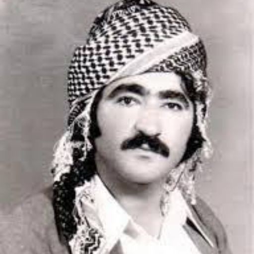 حه مه جه زا